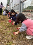 전남혁신학교 화순오성초/학산초, 나눔의 씨앗 심기 활동 펼쳐