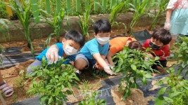 대구 구지초, 학교농장조성지원사업 학교 선정.. 구지농장 가꾸며 인성 함양