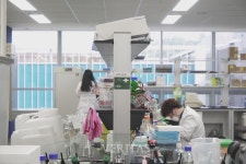 지스트대학 기술창업스카우터 선정기업  지놈앤컴퍼니 다음달 코스닥 상장 예정