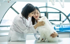 경인여대 펫토탈케어과, 도심형 반려동물 훈련소 아지숲과 실습 및 취업활성화 MOU체결