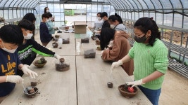 광주 송학초 다육식물 심기 인성프로그램 실시