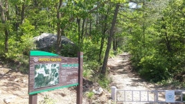 부산대 학술림 숲에서 우리 가락 치유 음악회