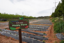 전남대 농업실습교육원 한전KPS 주말농장 개장