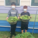 제주 신례초 어린 농부의 예빛고운 식물농장 가꾸기