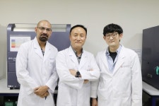 포스텍 공동연구팀, 효모에서 찾은 특정 구조 다당체의 염증성 질환 발병 억제 및 치료 효과 동물모델에서 확인