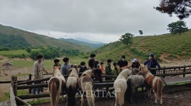 강릉영동대 지역사회 발달아동을 위한 쉼 프로젝트 재활승마교실