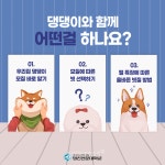 펫케어과 신설 앞둔 영진전문대, 우리집 반려동물과 행복하게 살기 특강, 온/오프라인 서비스