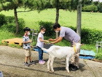 울산초병설유, 가족과 목장에서 바른 식생활교육