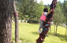 대구새론유치원 숲 속 밧줄놀이로 몸 튼튼! 마음 튼튼!