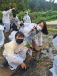 전남 장성 서삼초, 국화 향 가득 피어나는 우정