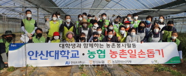 안산대 농협 안산시지부 농촌일손돕기 봉사활동 진행