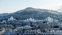 조선대 2022정시모집 경쟁률 2.95대1 상승.. 첫 모집 약학과 9.5대1 최고