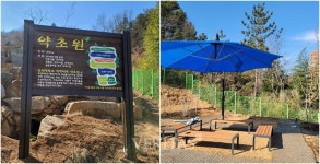 순천대 약학대학 약초원 환경 개선 사업 완료