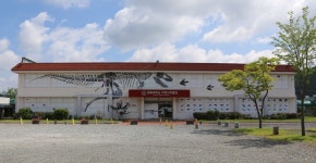 경북대 자연사박물관 경북문화재단 경북예술로(路) 사업 선정