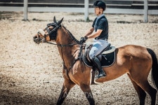 중원대 승마부 2023 춘계 전국승마대회 두각