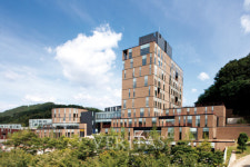 대전대 혜화 아너스 아카데미 학생 지역 연계 봉사활동 실시