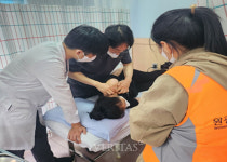 원광대한방병원 베트남 달랏시에서 한의진료 진행