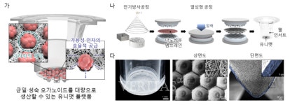 고품질 오가노이드의 대량 생산 기반 기술 확보