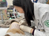 전남대 동물병원 전문 진료과목 확대 개설/접수절차 간소화 실시