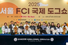 디지털서울문화예술대 반려동물학과, KKF 전국 애견미용 콘테스트에서 빛나는 성과 거둬