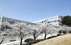 상명대 벚꽃과 함께하는 낭만 축제 화양연화 개최