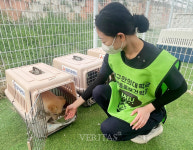 의성 산불 피해지역 반려동물 보호활동 참여