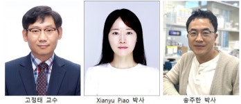 전남대, 면역 단백질로 골질환 새 치료법 제시