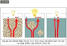 무질서 속에서 전자의 질서를 찾다