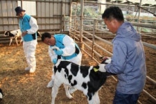농진청, 진안축산농가 이동동물병원 운영