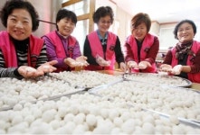 새알이 고슬고슬