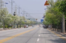 익산, 쾌적한 녹색도시 조성 56억 투자