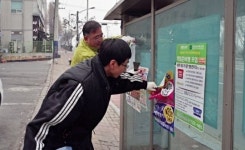 전주시 호성동 불법광고물 정비