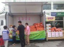농협 익산시지부, 양파 소비촉진 직거래 장터 개설