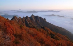 진안 구봉산 등산로 잠정폐쇄
