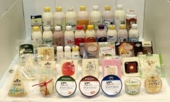 임실치즈, 지역 경제의 시작