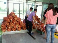 전북여성교육문화센터, 양파 소비촉진 위한 요리교실
