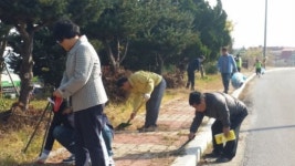 김제시 광활면 환경정화활동
