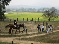순창교육지원청, 승마체험교실 운영 호평