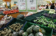 한파에 채소값 폭등, 시민들 울상