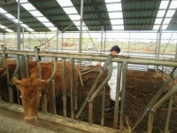 고창군, 구제역ㆍAI 차단방역 총력