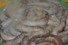 순창읍 재래시장 전통 순대촌