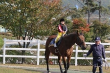 한국마사회 렛츠런팜 장수, 목장개방