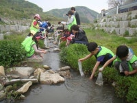 완주군, 비봉초와 1학교 1소하천 가꾸기 운동