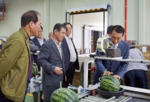 정읍 김경태씨 농장, 씨까지 먹는 수박 첫 출하