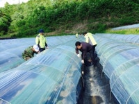 진안군 안천면, 태풍피해농가 일손지원