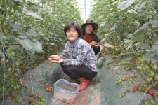 완주군 귀농귀촌 지원정책 실시