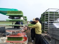 김제시 만경읍 농촌일손돕기 전개