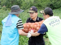 홍성삼 전북청장, 메르스 피해농가 일손돕기 앞장
