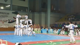 2015 전주오픈국제태권도대회 성료