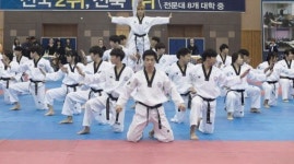 전주비전대총장배 태권도대회 개막